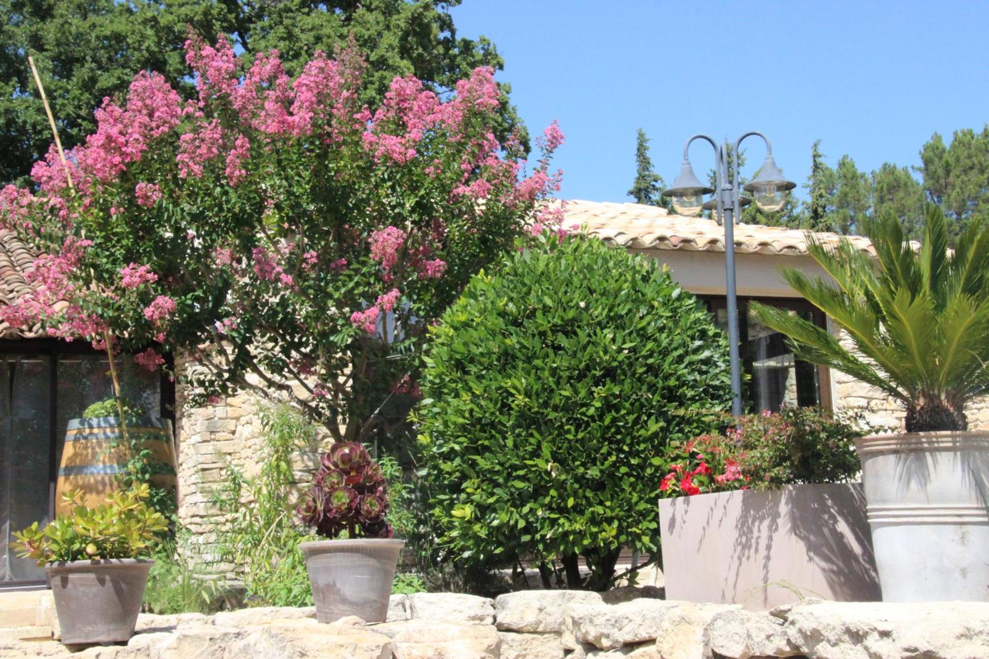 Fleur De Lavande Gordes Bagian luar foto