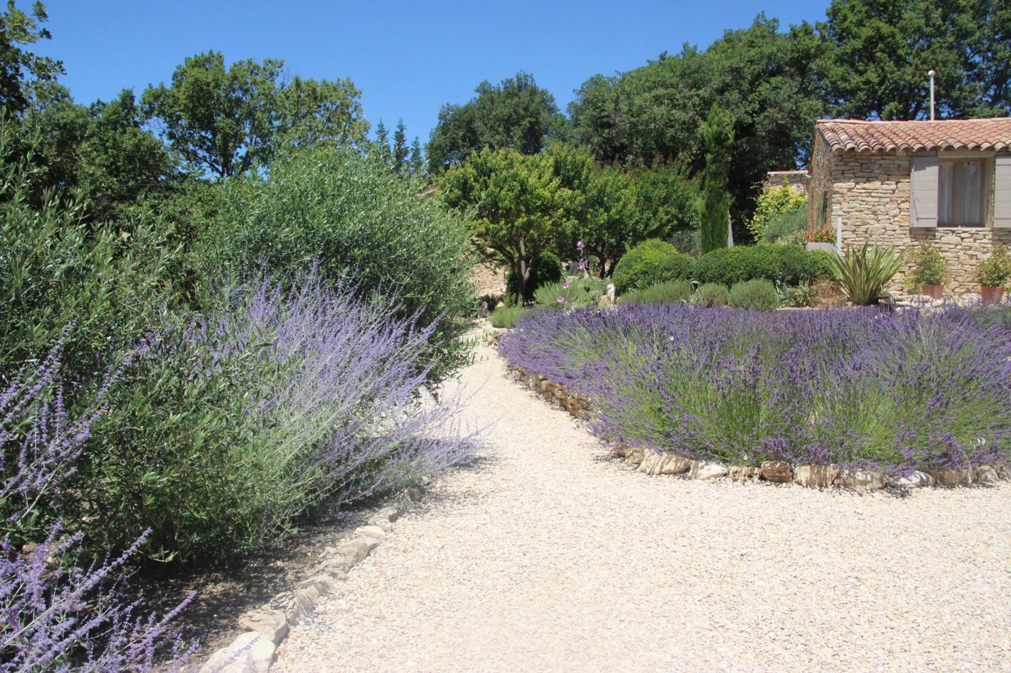 Fleur De Lavande Gordes Bagian luar foto